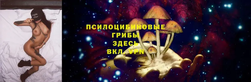 Псилоцибиновые грибы MAGIC MUSHROOMS  сколько стоит  Боровичи 